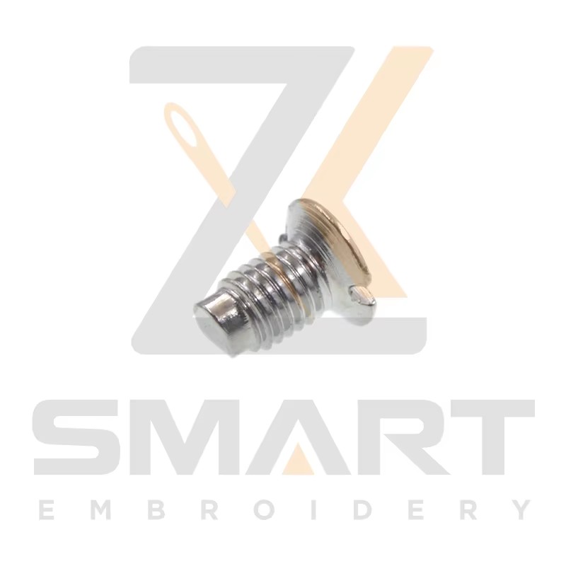 100 scriú pláta snáthaid ríomhaire 511554010000 EG0228000000 SM201108CA00 Meaisín bróidnéireachta B02-R0502